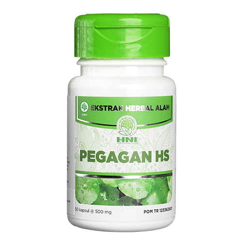 PEGAGAN